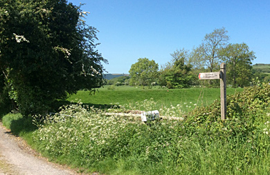 Wye Valley Walk signpost in Glasbury